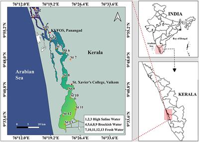 Citizen Scientists Contribute to Real-Time Monitoring of Lake Water Quality Using 3D Printed Mini Secchi Disks